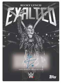 2025 WWE Exalted | Hobby Box